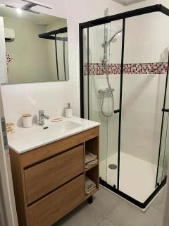 Loft spa, cour arrière privée - Labruguière - 2