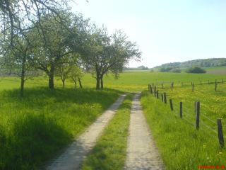 Jolanta-Ferienwohnung an der A3 - Urbach-Kirchdorf - 6