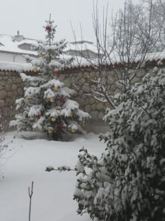 Pirina Club Hotel - 5