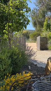 Point Roadknight with ocean and tree views Anglesea - Anglesea - 9