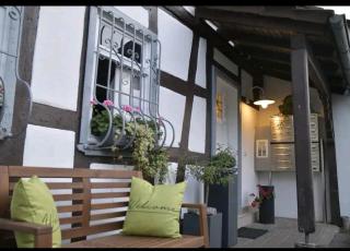 Stilvolle Altbauwohnung Apartment Wolke & Sieben - Höhr-Grenzhausen - 1