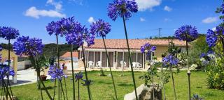 Kyrios Family Villa with private pool - Carrascal - 8