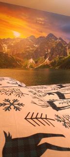 Apartament Olczański Chëcz - Zakopane - 9