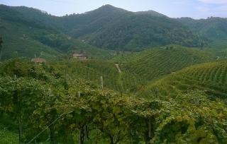 Cozy Apartment In San Pietro Di Feletto - 5