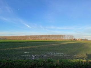 Holiday cottage de Garage Inn - 4