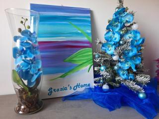 Grazia's Home - Sant'Agnello - 8