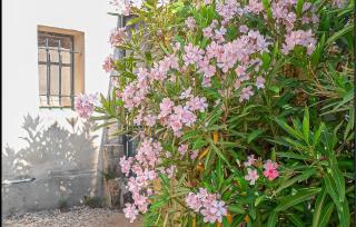 Cozy Home In Arles With Wifi - Arles - 7
