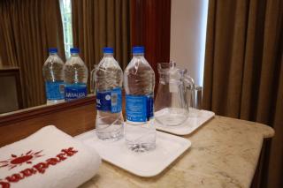 Hotel Sunpark - Chennai - 4