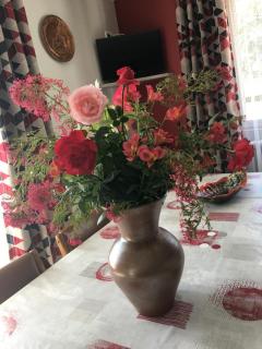 Gite de la lionnaire - Orches - 8