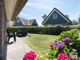 Attractive villa close to forest, beach, sea - Sint Maartenszee - 0