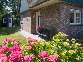 Luxurious coastal villa near forest - Sint Maartenszee - 5