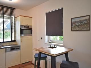 Luxurious villa close to forest, beach and sea - Sint Maartenszee - 3