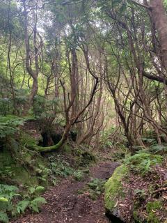 Casa do Postigo Rustic Refuge to Relax - 7