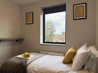 Buxton Road Suites - Londra - 3