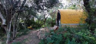 carpi cabaña, Tao sierras de Aigua - Aiguá - 9