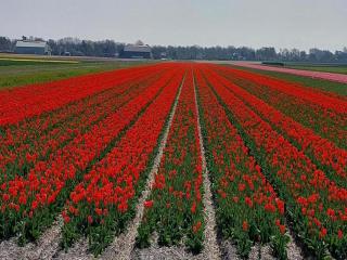 Cosy holiday home near beach - Sint Maartenszee - 3