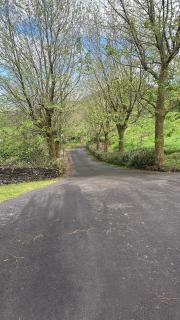 Casa dos Plátanos - 0