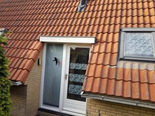 Pretty holiday home in Burgerburg - Burgerbrug - 5