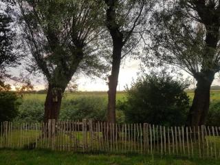 Pretty holiday home in Burgerburg - Burgerbrug - 6