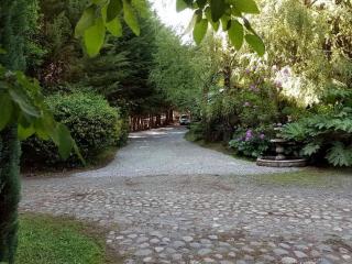 Cabañas Mapulauquen - Pucará - 2