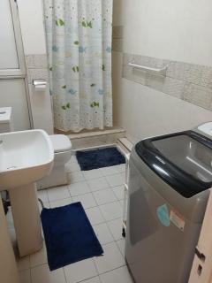 Nenuphar appartement - Flic-en-Flac - 7
