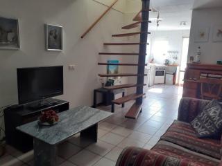 Spacious holiday home in Petten - Petten - 5