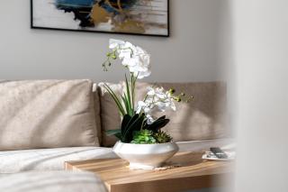 Ahlan HH - Luxury 1BR in District One Residences 11 - 7