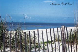 Legacy Tower One 302 - Gulfport - 5