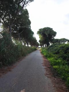 Luci Mare - Marinella di Sarzana - 5
