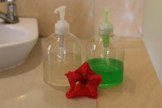 Frangipani Bungalow - 3