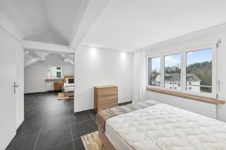 The R Apartment Rheinfall - central free parking - Neuhausen am Rheinfall - 4