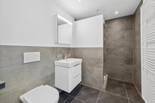 The R Apartment Rheinfall - central free parking - Neuhausen am Rheinfall - 1