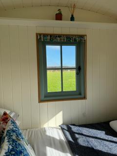 Lower Trewern Shepherds Hut - 1