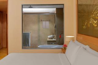 Radisson Blu Hotel New Delhi Dwarka - New Delhi - 4