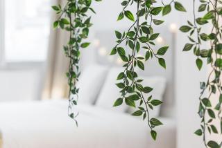 GuestReady - Fabric Porto Apartment - Porto - 2