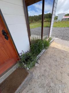 The Forest House - Villarrica - 1