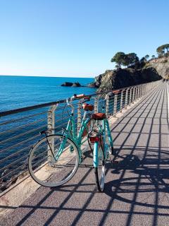 La Terrazza sul Mare - Levanto - 3