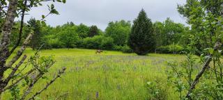 Séjour à la campagne en Périgord Noir - 4