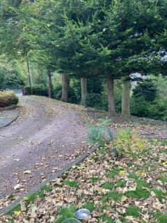 Lurgan Road Luxury Retreat in Banbridge - 6