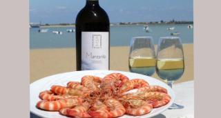 Apartamento Al Sur del Sur - Sanlúcar de Barrameda - 1