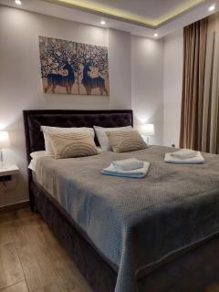 Kopaonik Lux Resident Hill Apartman A39 - Kopaonik - 7