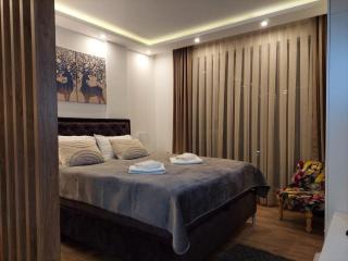 Kopaonik Lux Resident Hill Apartman A39 - 1