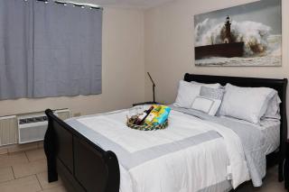 Tropical Heaven 3BR Apart on Vega Baja Beach - Vega Baja - 7