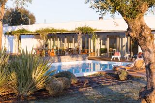 Vineyard Retreat - Montemor-o-Novo - 0