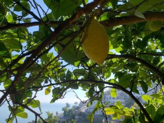 Villa San Vito Amalfi Coast a timeless charme - 1