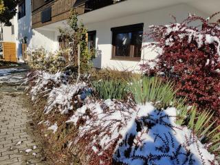 Wellness Apartment Keutschach Lakes Valley - Keutschach am See - 8
