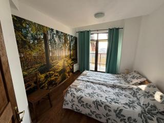 Villa Detelina near the Bansko Ski Resort - 4