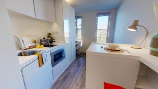 For Student Only Cosy Studios in East Court at Central London - Londra - 4