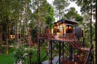 High Tree Resort, Krabi - 4