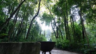 Chalé confortável em meio a natureza - Sítio Kaapora Campo Largo - Campo Magro PR - Campo Largo - 8